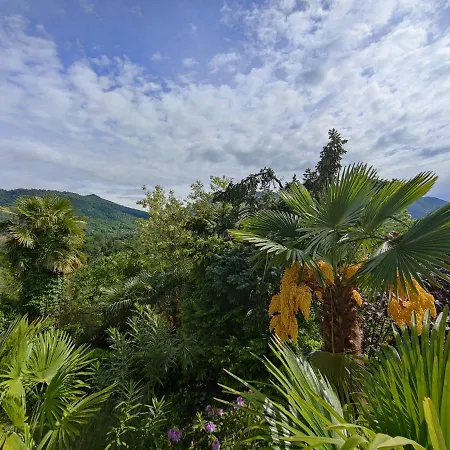 Feluca Porto Casa vacanze